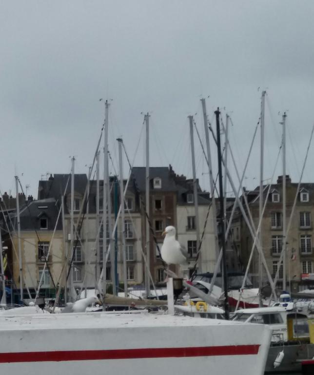 Egg Hotel - Hotel Les Gens De Mer Dieppe Dış mekan fotoğraf